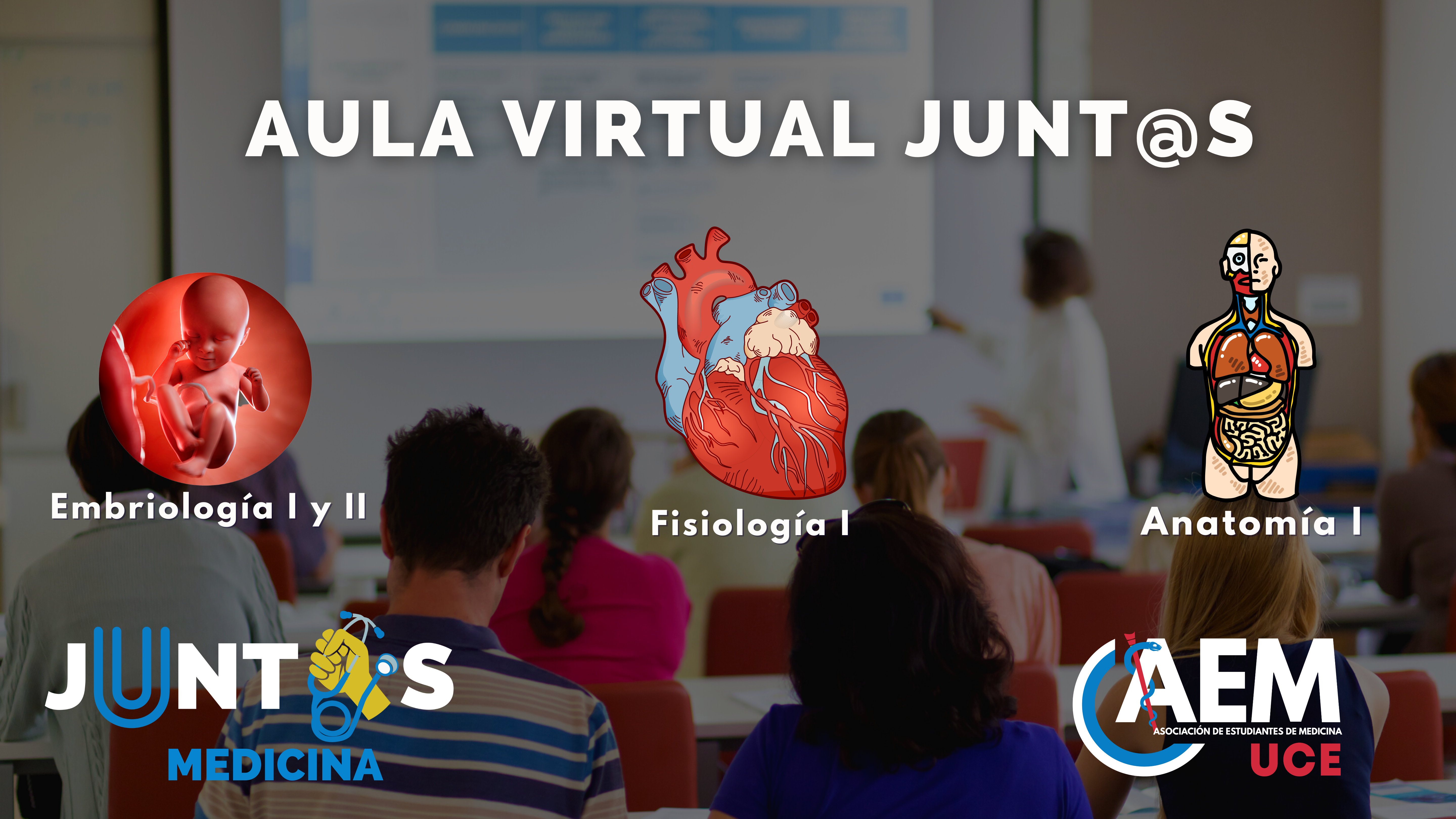 aula virtual